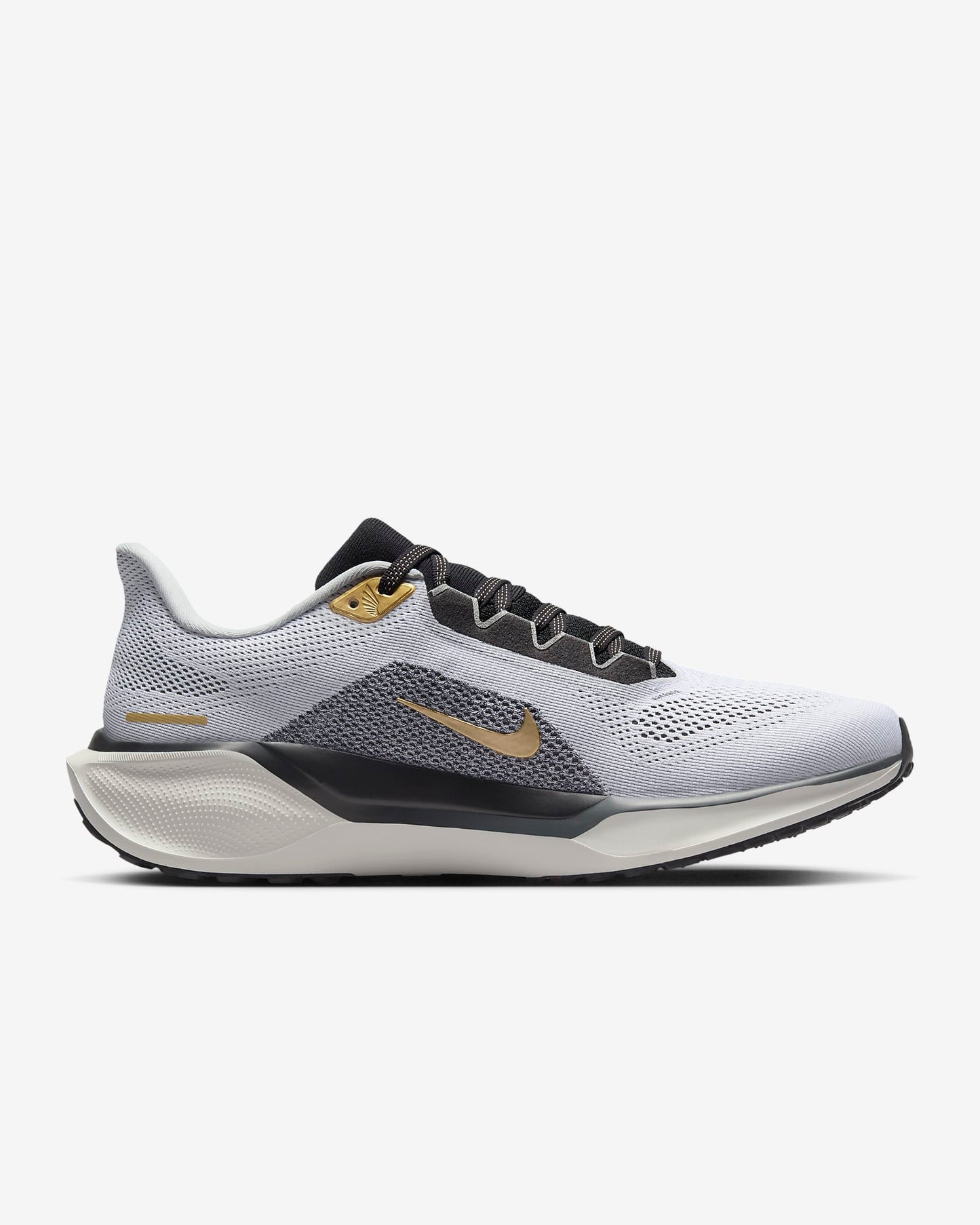 Men's Pegasus 41