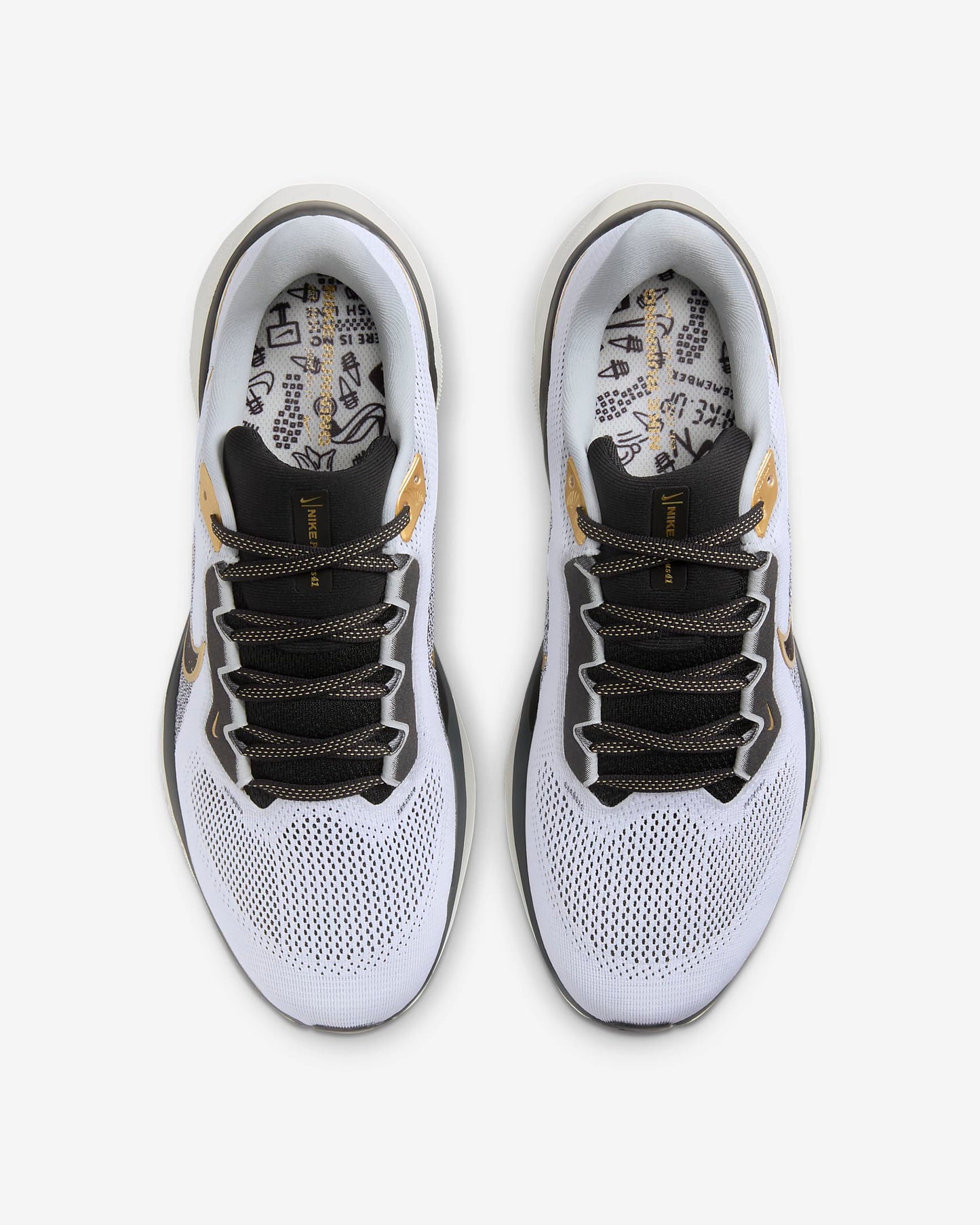 Men's Pegasus 41
