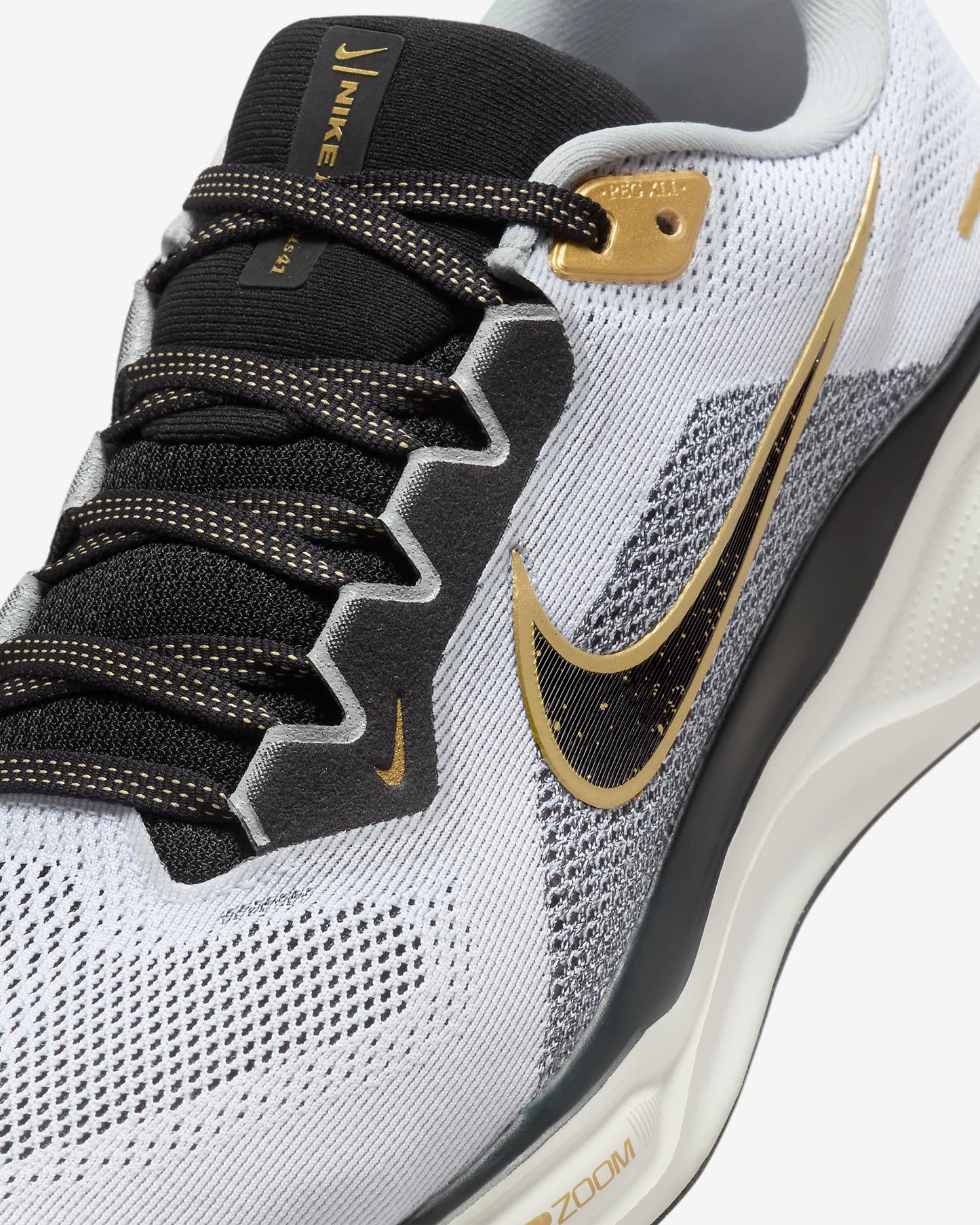 Men's Pegasus 41
