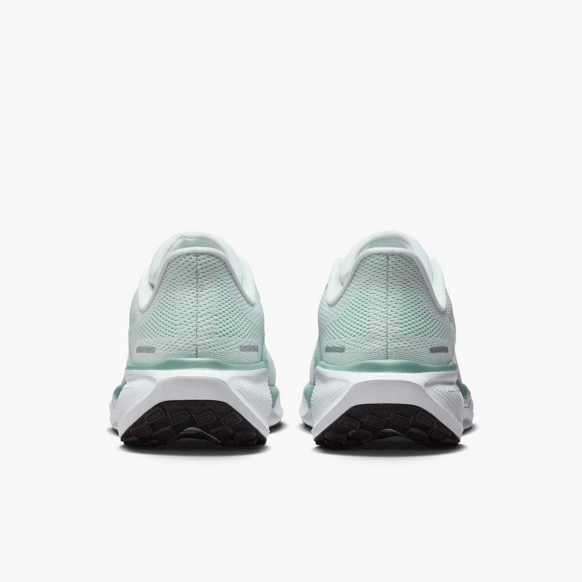 W PEGASUS 41