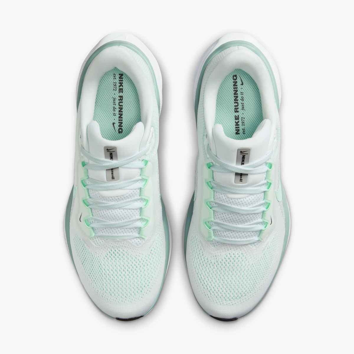 W PEGASUS 41