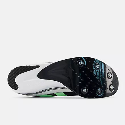 FuelCell Flite-D